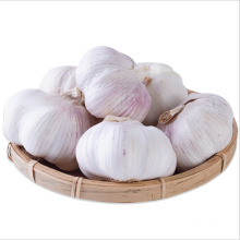 Chinese Low Price Fresh Garlic White Garlic Normal White Garlic